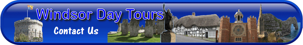 Contact Us